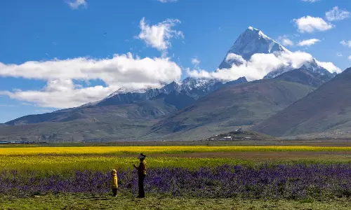 Shigatse weather