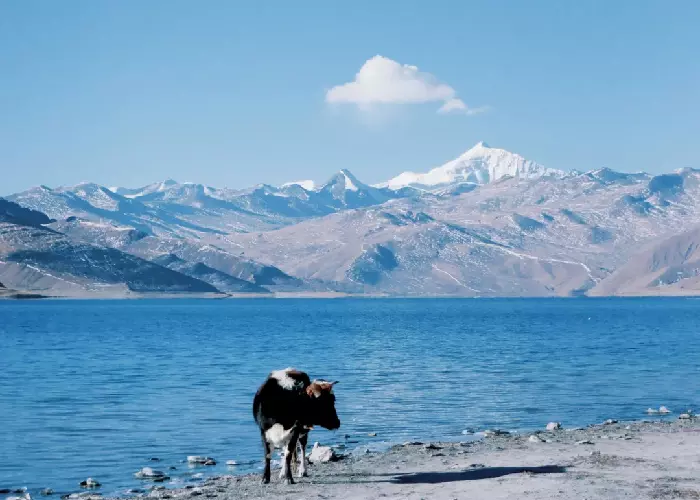 Yamdrok Lake