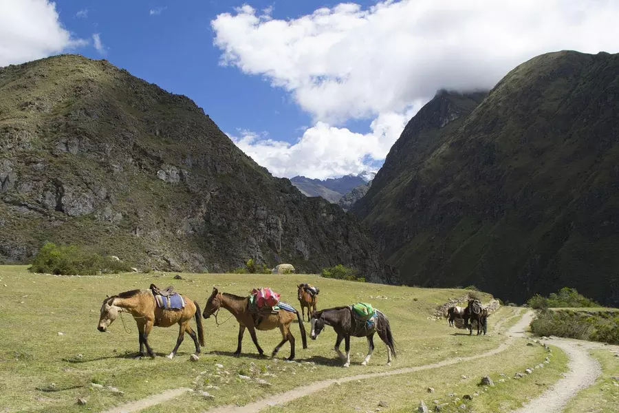 Horse Riding in Songpan