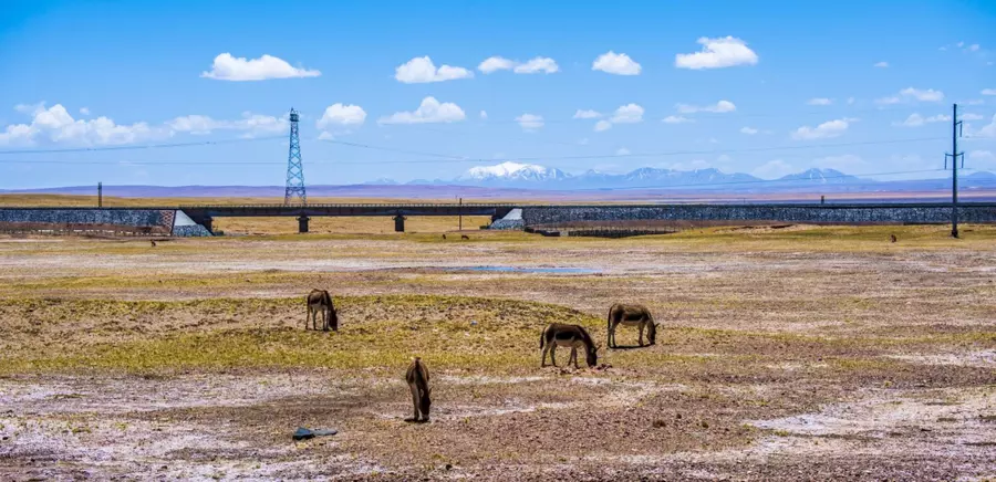 Qinghai Tibet Railway