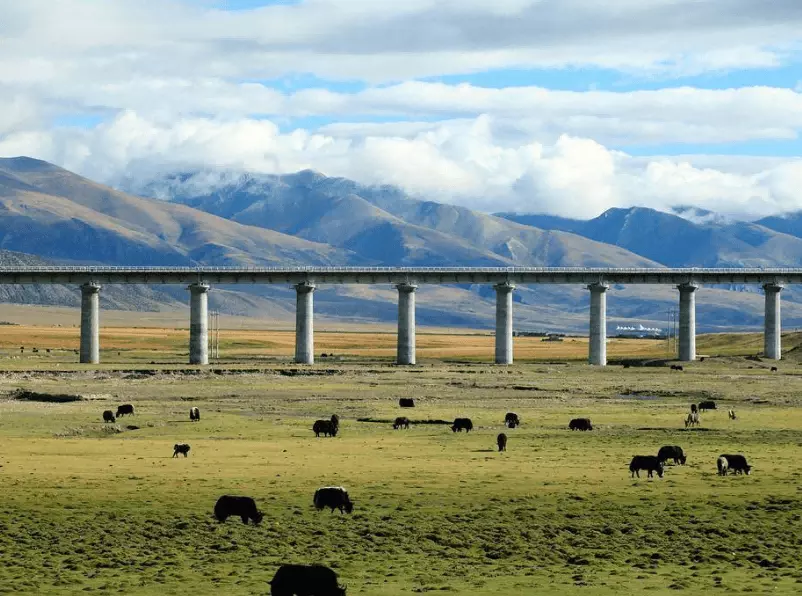 Qinghai Tibet Railway