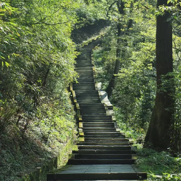 hiking trail