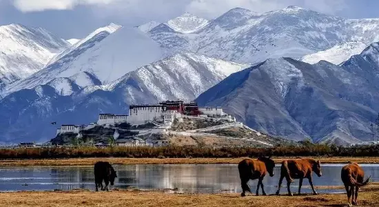 Potala Palace