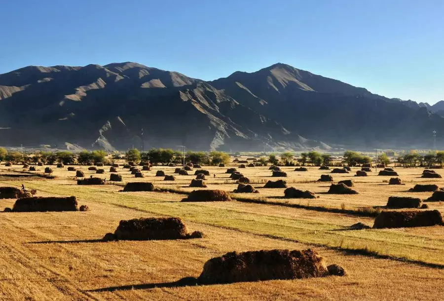 Shigatse in autumn