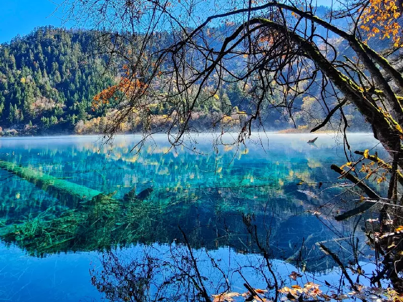 Five Flower Lake  in autumn