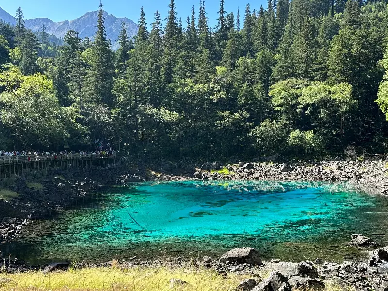 Five-color pond