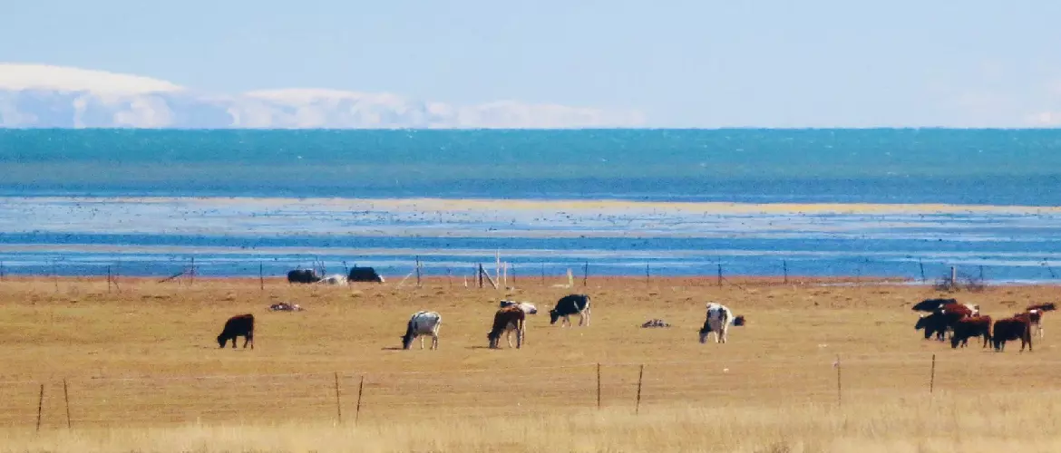 See Qinghai Lake on the train