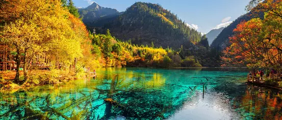 Five Flower Lake 