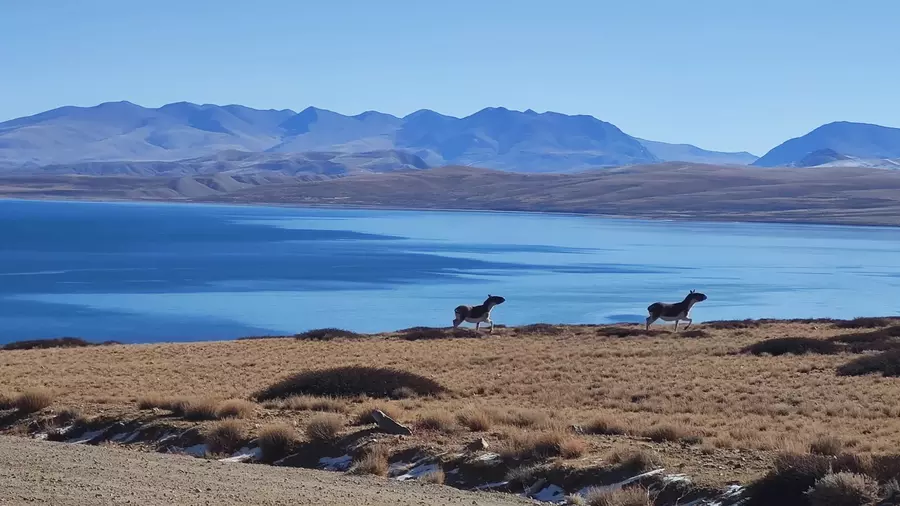Lake Manasarovar