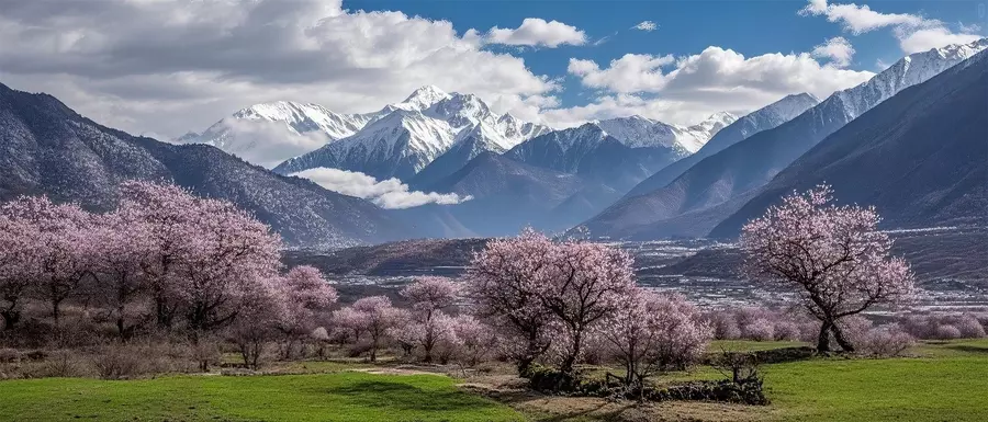 Nyingchi scenery