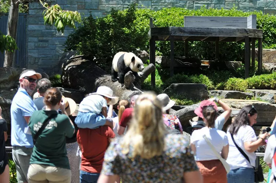 Panda Breeding Resarch Base