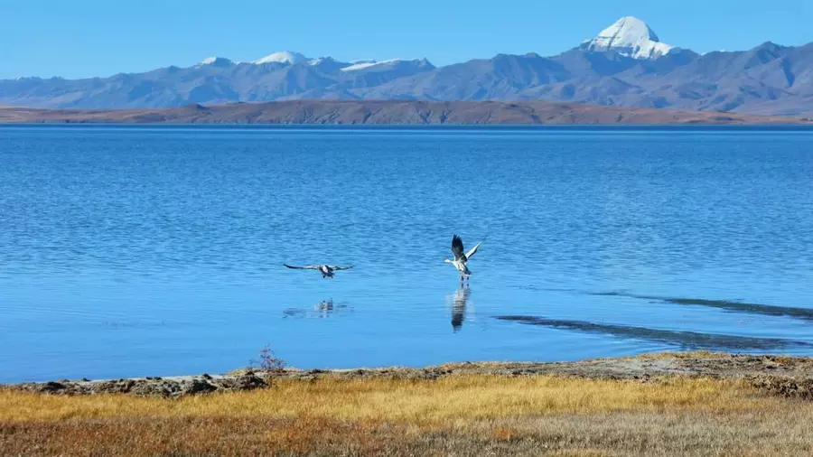 Lake Manasarvar