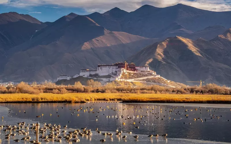 Lhalu Wetland