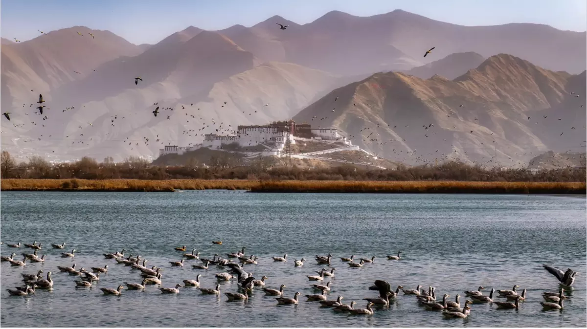 Lhalu Wetland