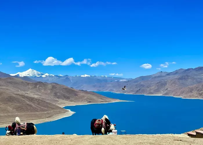 Yamdroktso Lake