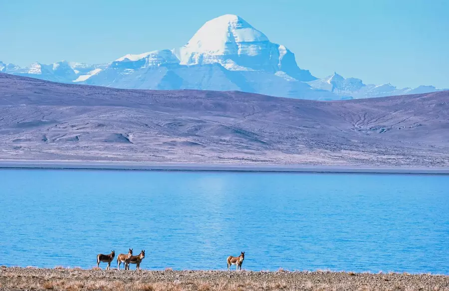 Mount Kailash