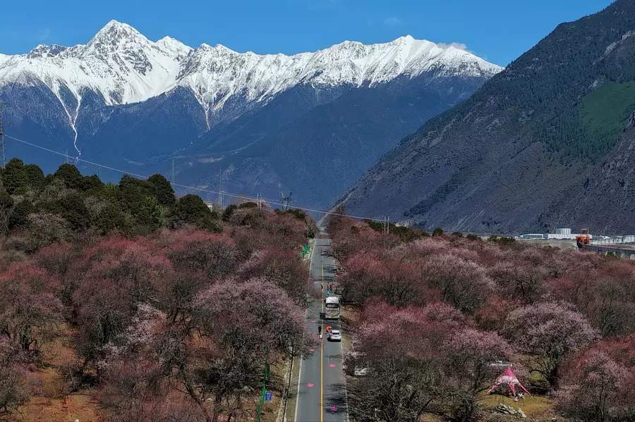 Bomi Peach Blossom Valley