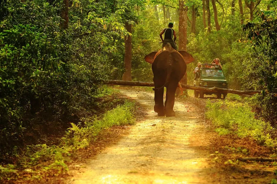 Chitwan National Park