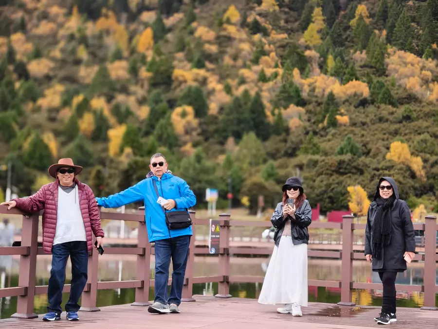 Lulang Forest in autumn
