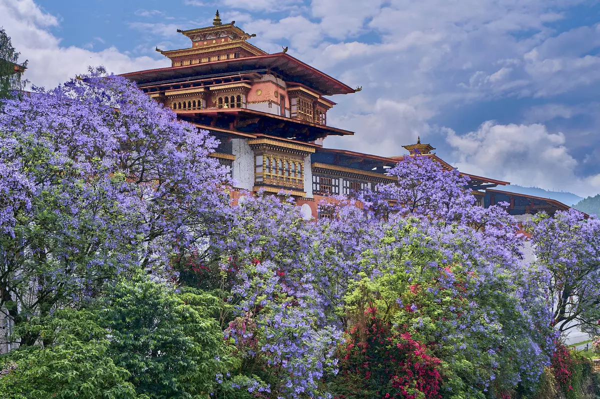 Punakha Dzong