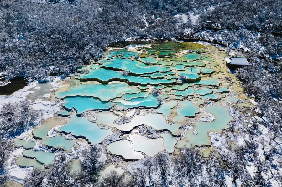 Five-color pond
