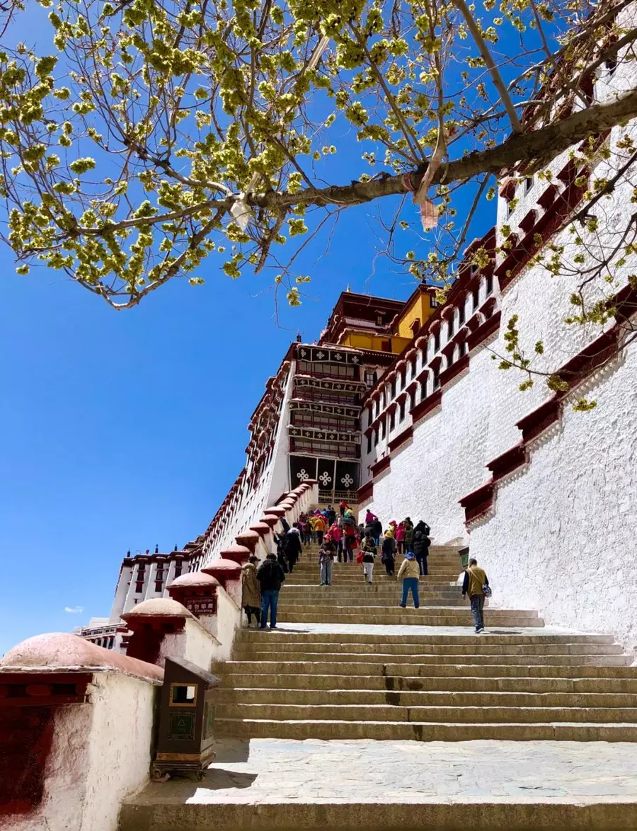Stairs to Potala Palace