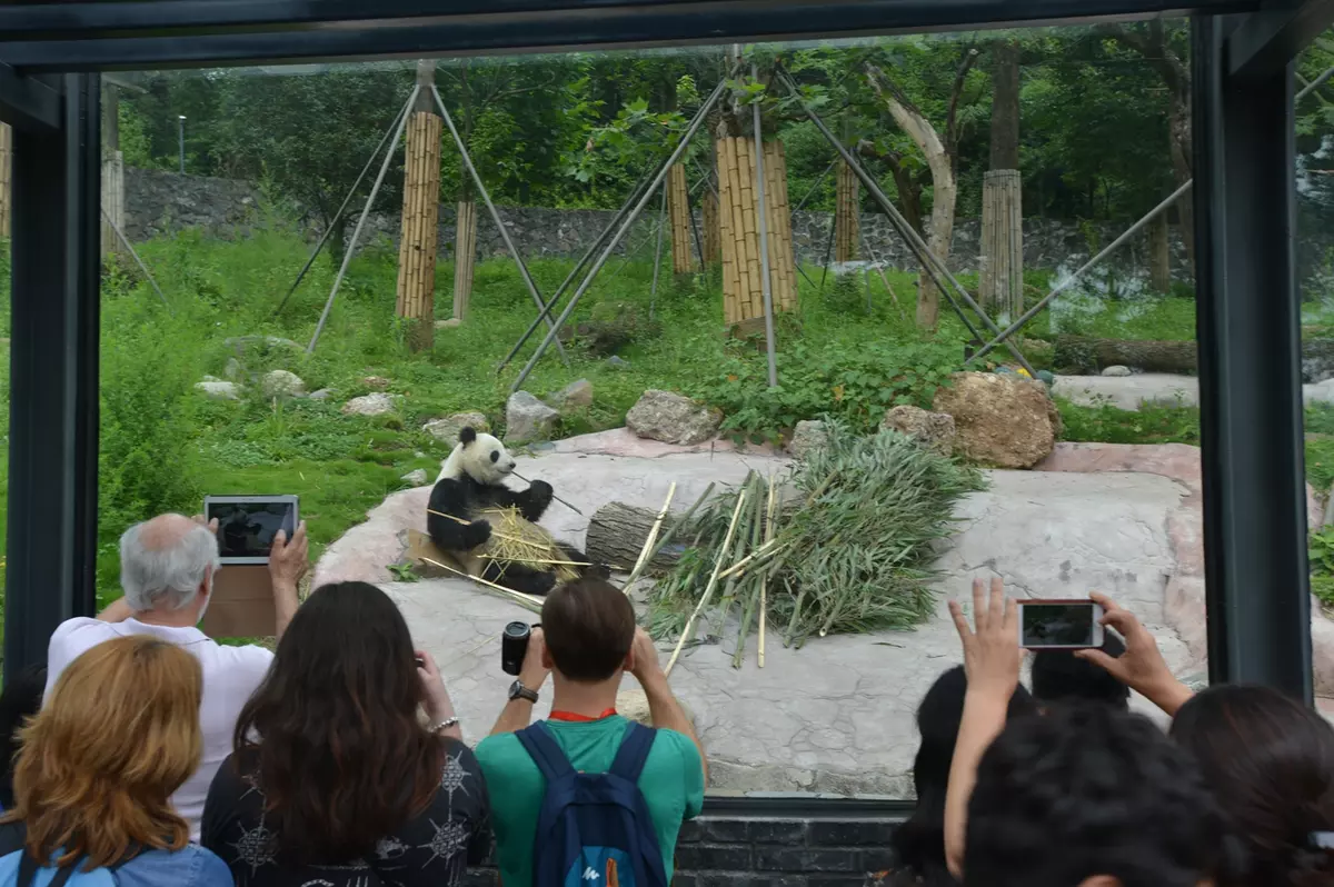 Dujiangyan Panda Base