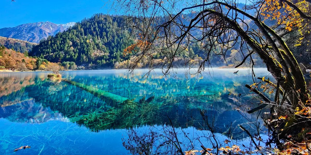 Five-Color Pond