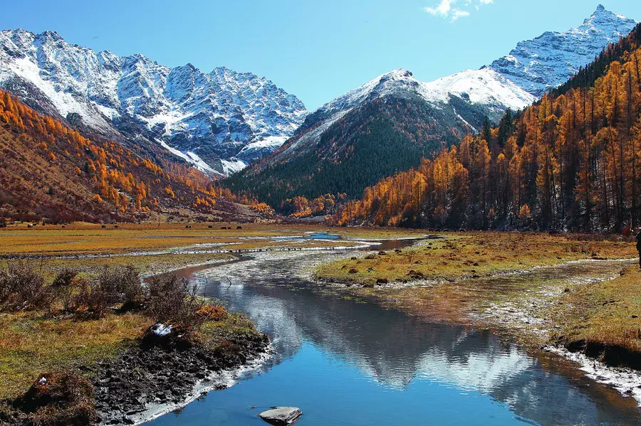 Autumn scenery