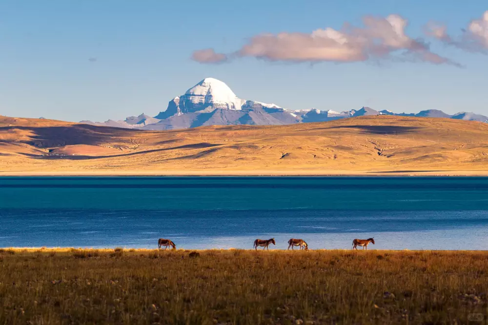 Mount Kailash