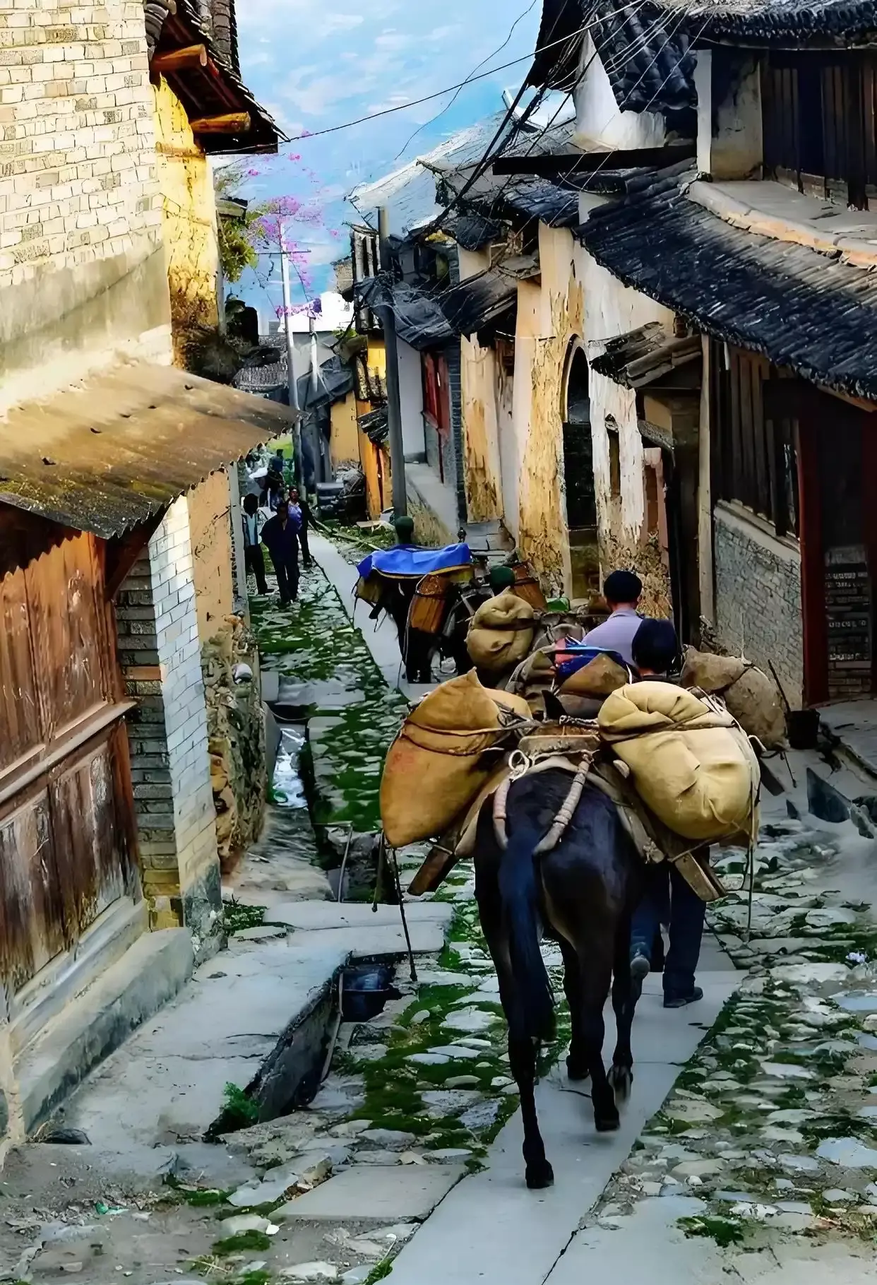 tea horse road