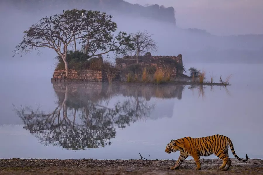 Ayodhya