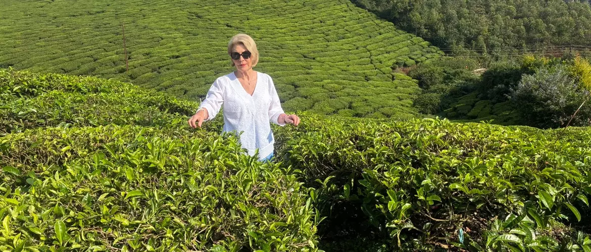 Munnar Tea Plantation